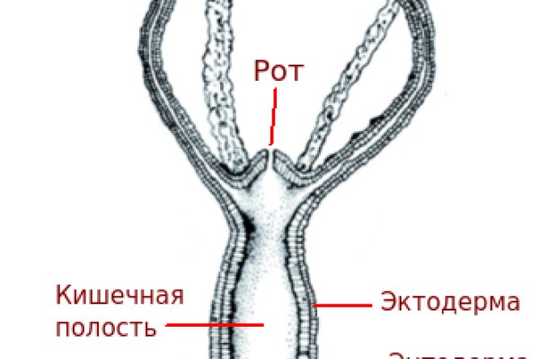 Мега ссылка зеркало рабочая